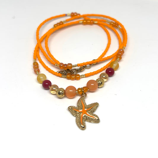 Corail étoilé